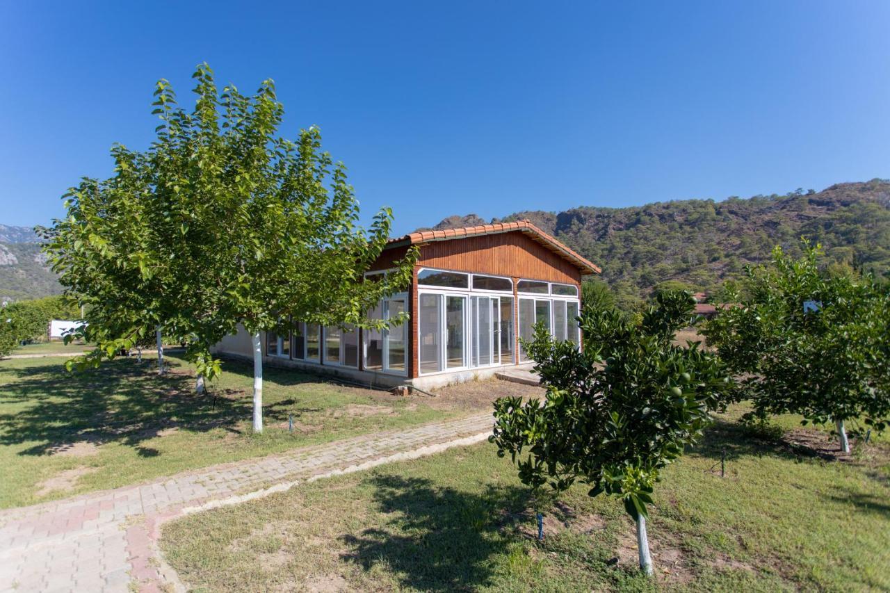 Ugur Pansiyon Bungalows Cirali Bagian luar foto